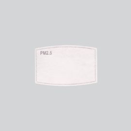 Face Mask Filter (ZM413G/F)